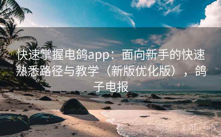 快速掌握电鸽app：面向新手的快速熟悉路径与教学（新版优化版），鸽子电报