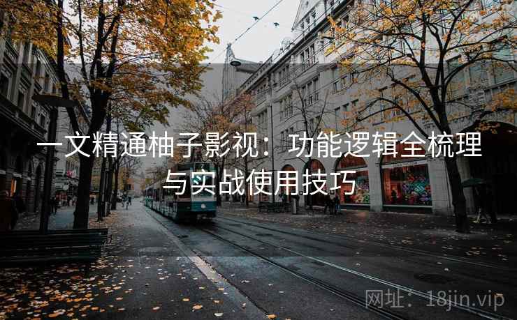 一文精通柚子影视：功能逻辑全梳理与实战使用技巧
