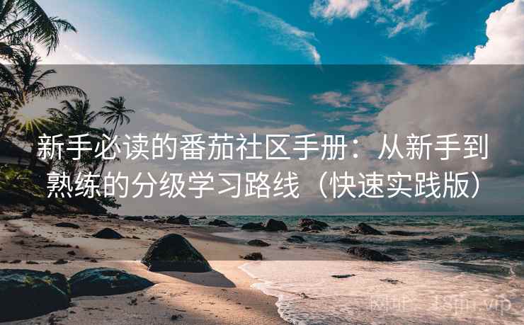 新手必读的番茄社区手册：从新手到熟练的分级学习路线（快速实践版）