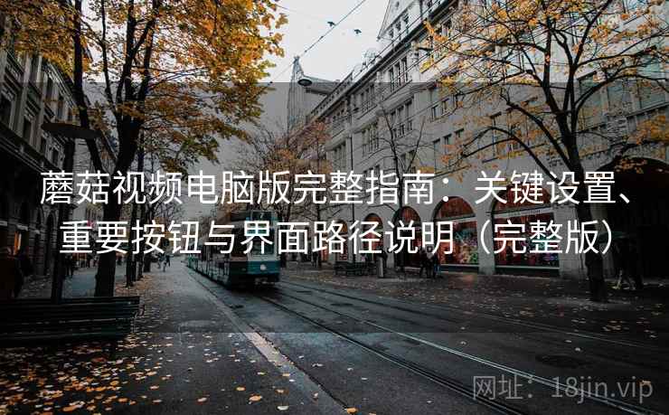 蘑菇视频电脑版完整指南：关键设置、重要按钮与界面路径说明（完整版）