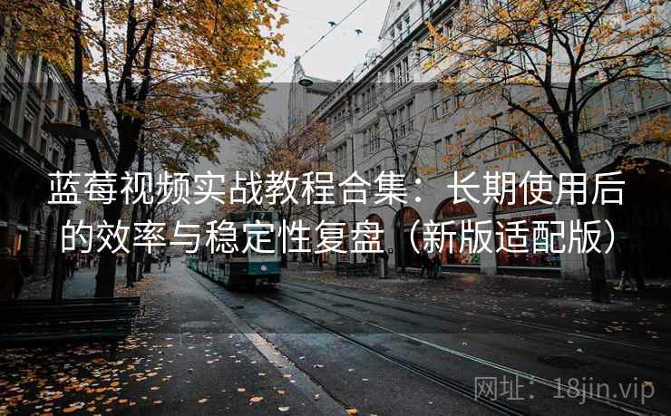 蓝莓视频实战教程合集：长期使用后的效率与稳定性复盘（新版适配版）