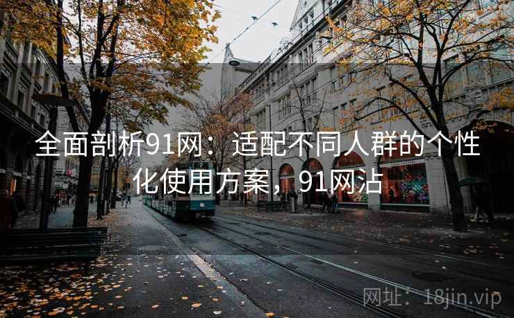 全面剖析91网：适配不同人群的个性化使用方案，91网沾