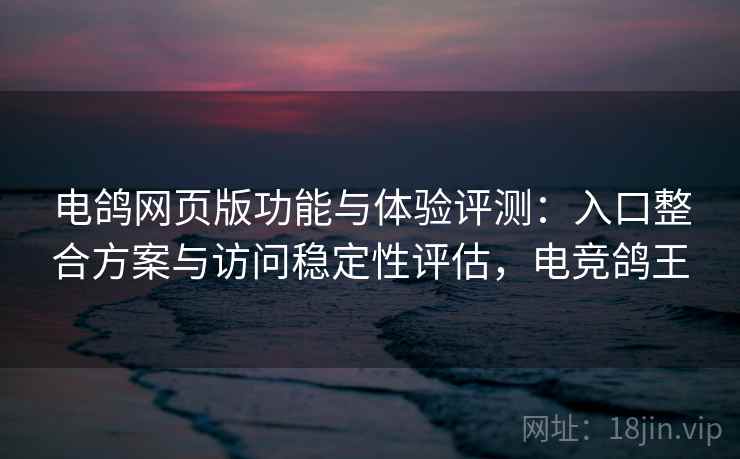 电鸽网页版功能与体验评测：入口整合方案与访问稳定性评估，电竞鸽王