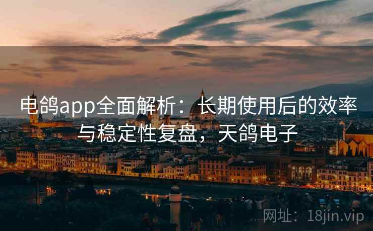 电鸽app全面解析：长期使用后的效率与稳定性复盘，天鸽电子