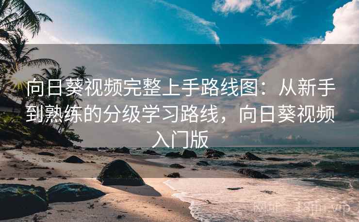 向日葵视频完整上手路线图：从新手到熟练的分级学习路线，向日葵视频入门版