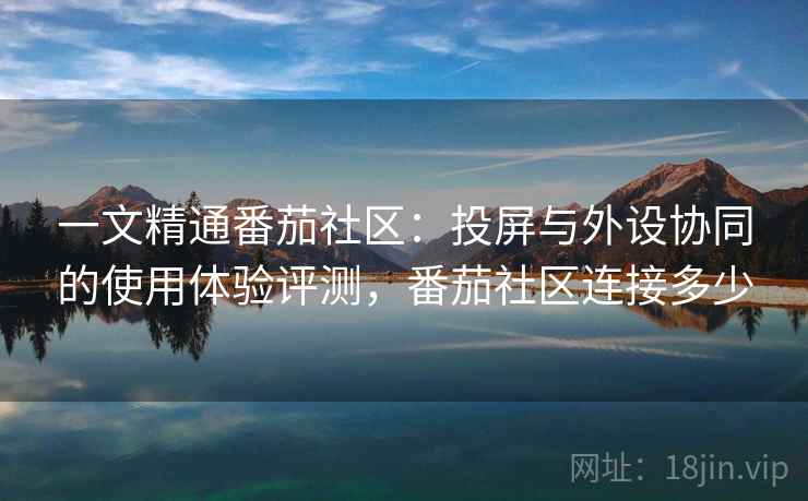 一文精通番茄社区：投屏与外设协同的使用体验评测，番茄社区连接多少