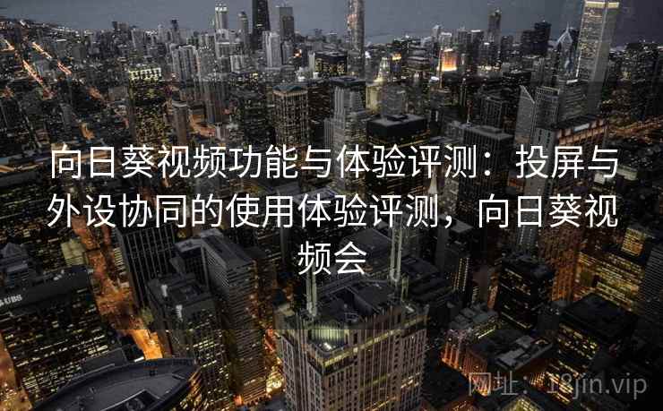 向日葵视频功能与体验评测：投屏与外设协同的使用体验评测，向日葵视频会
