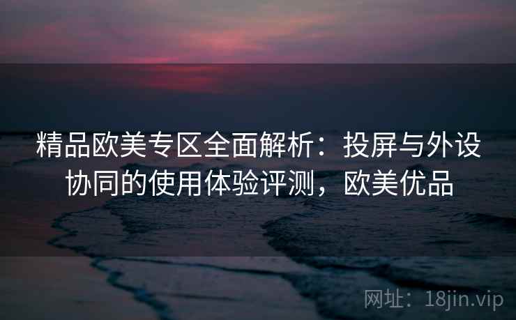 精品欧美专区全面解析：投屏与外设协同的使用体验评测，欧美优品