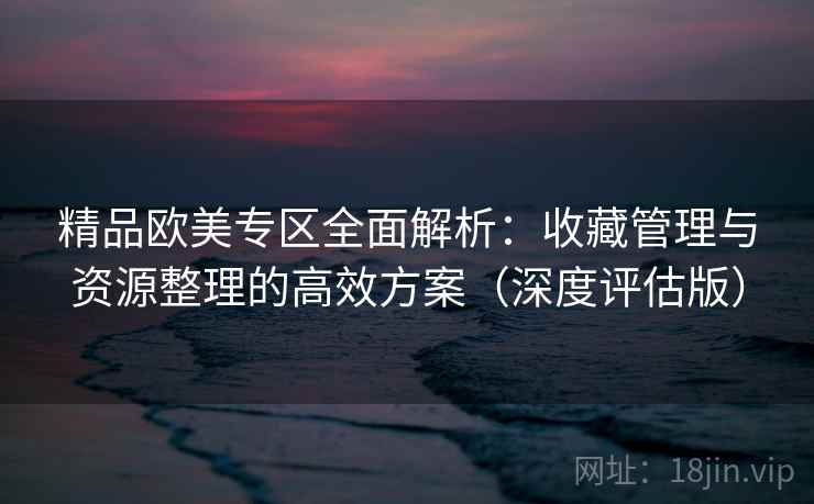 精品欧美专区全面解析：收藏管理与资源整理的高效方案（深度评估版）