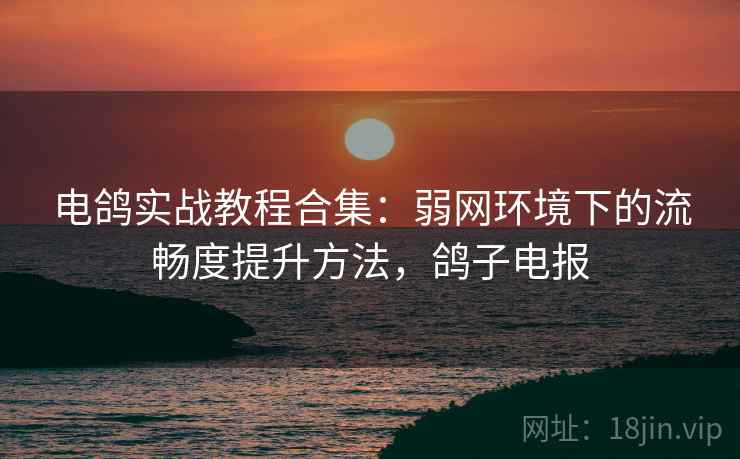 电鸽实战教程合集:弱网环境下的流畅度提升方法,鸽子电报 电鸽实战教程合集:弱网环境下的流畅度提升方法,鸽子电报
