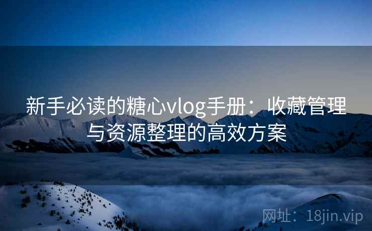 新手必读的糖心vlog手册：收藏管理与资源整理的高效方案