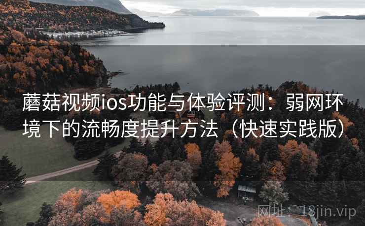 蘑菇视频ios功能与体验评测：弱网环境下的流畅度提升方法（快速实践版）
