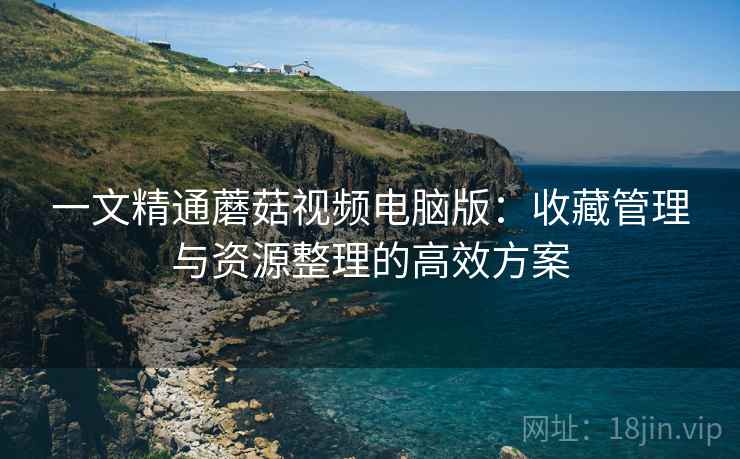 一文精通蘑菇视频电脑版：收藏管理与资源整理的高效方案